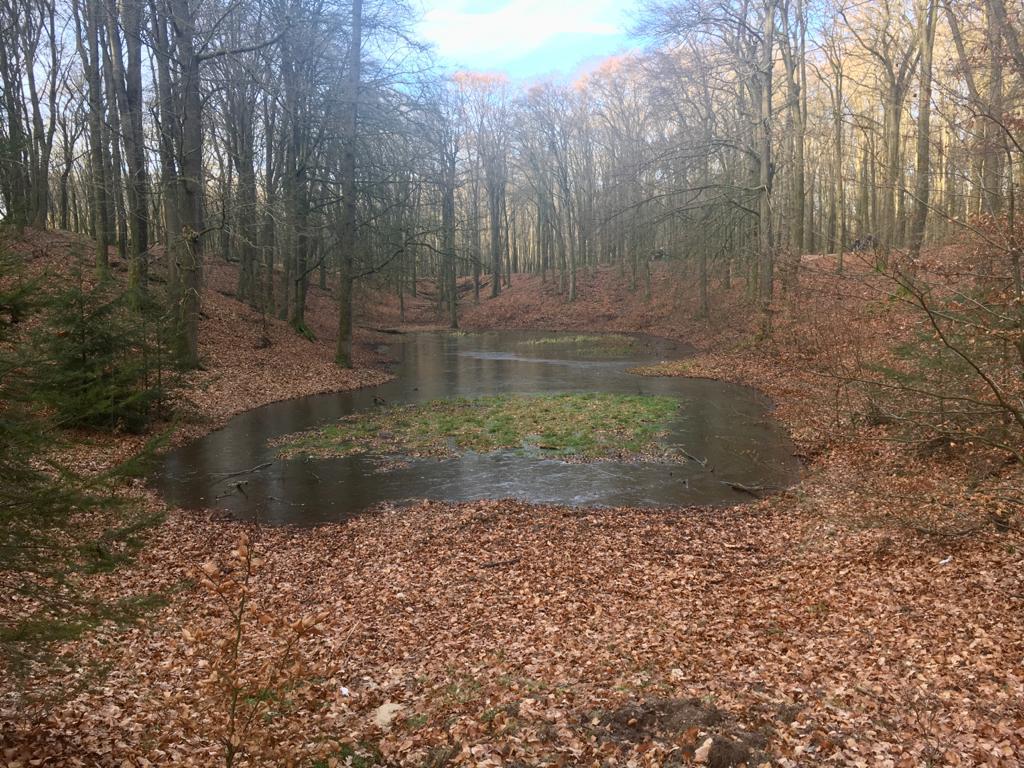 krachtplekwandelingen op de Veluwe — foto 2