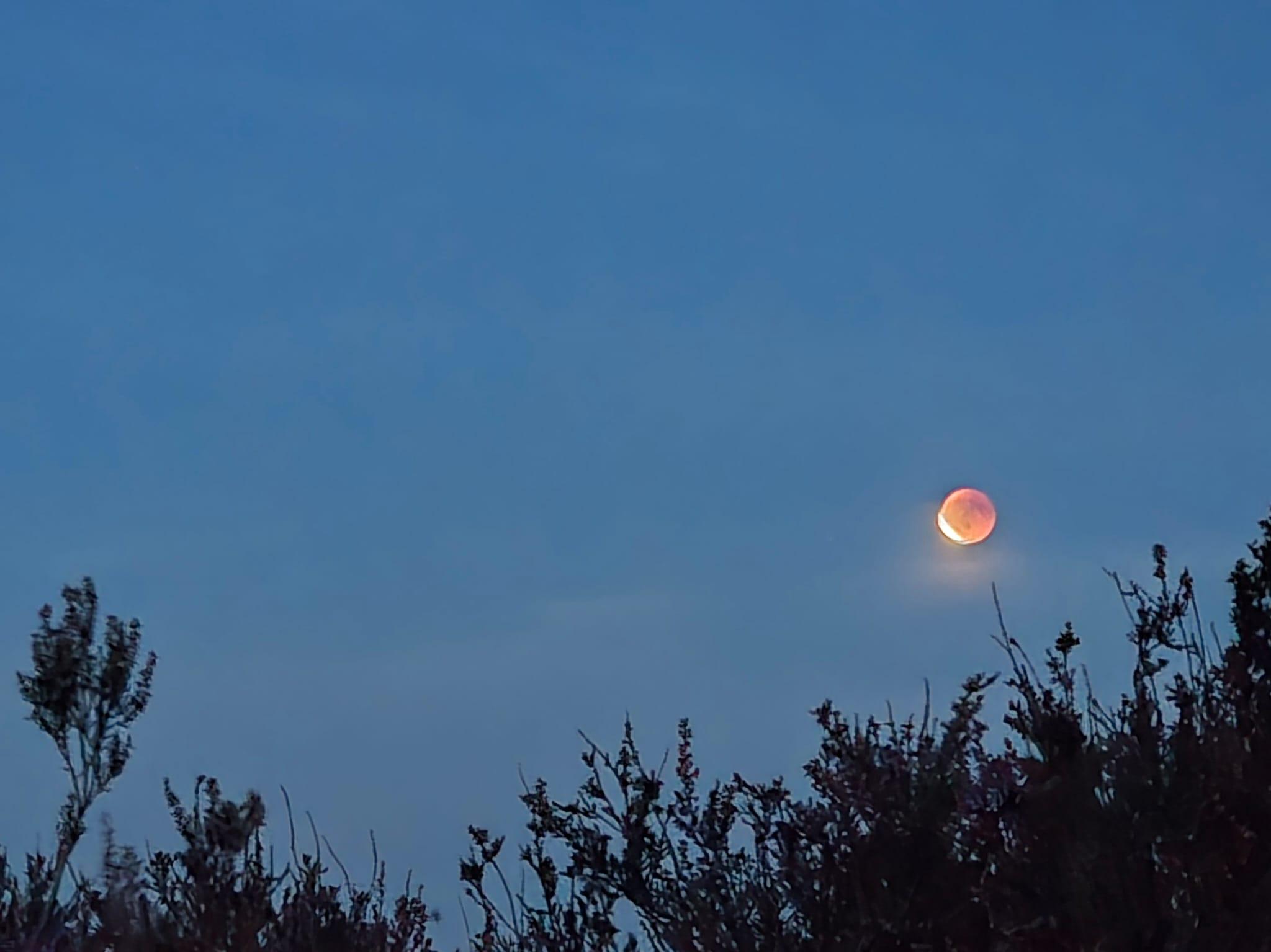 krachtplekwandelingen op de Veluwe — foto 2