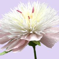 Een papieren bloem maken