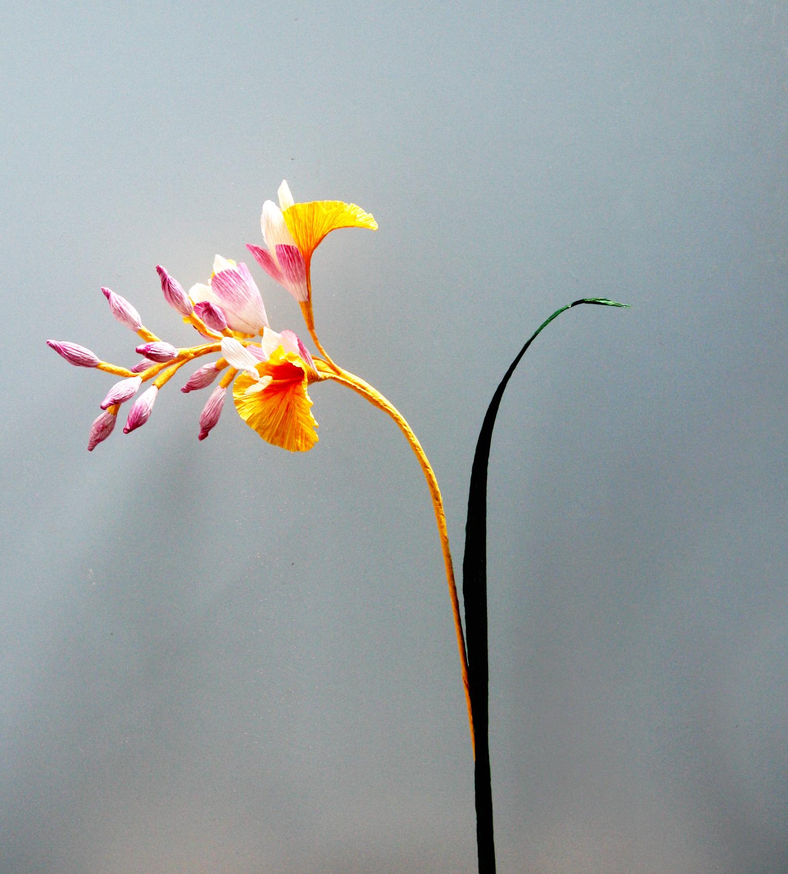 Een papieren bloem maken — foto 1