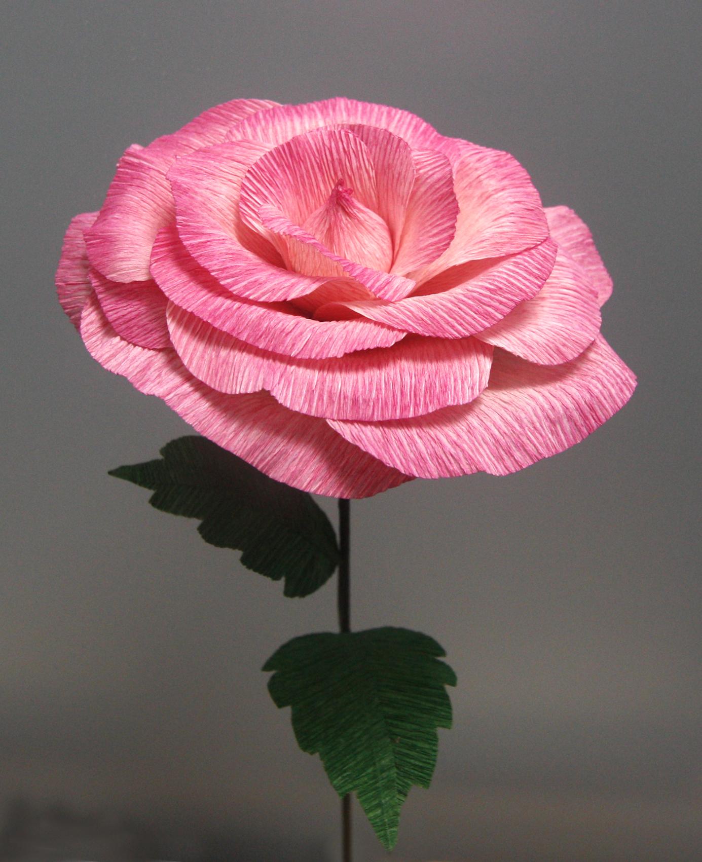 Een papieren bloem maken — foto 3