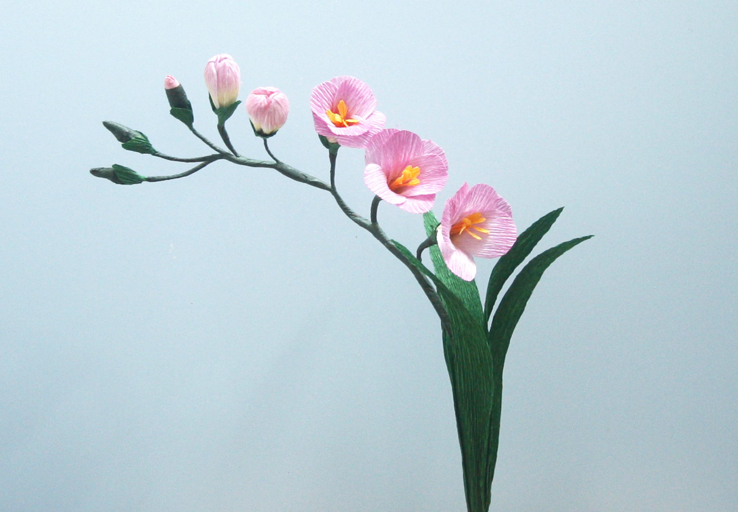 Een papieren bloem maken — foto 5