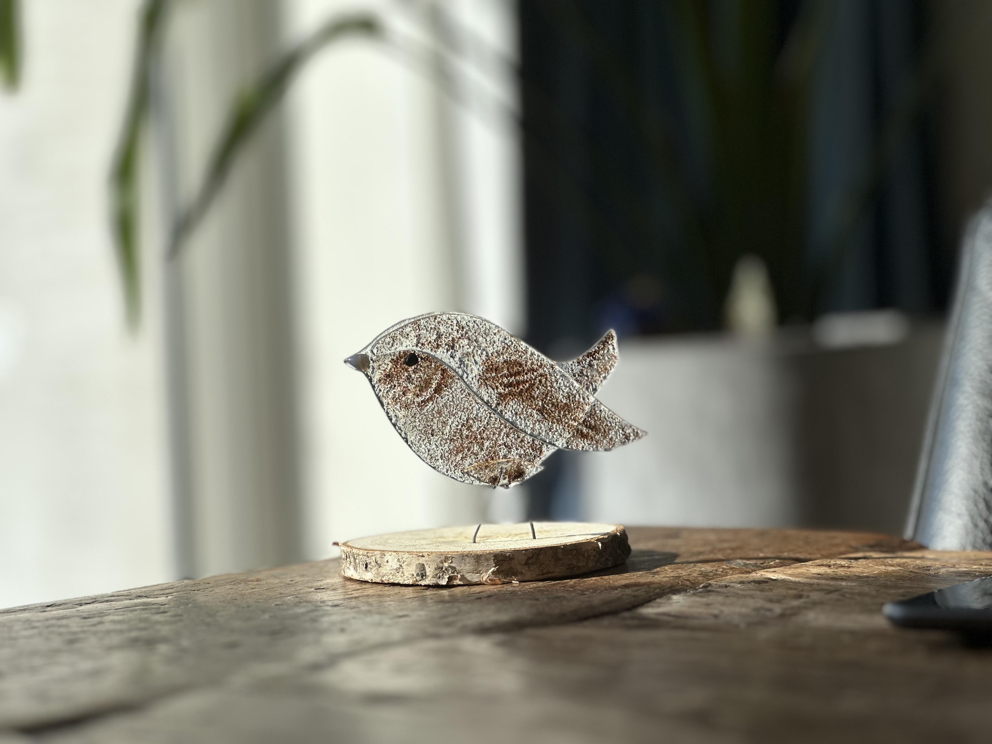 Vogeltjes van Glas  — foto 1