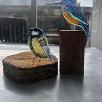 Vogeltjes van Glas 