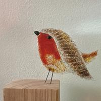 Vogeltjes van Glas 