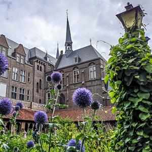Smartphone fotografie cursus Utrecht