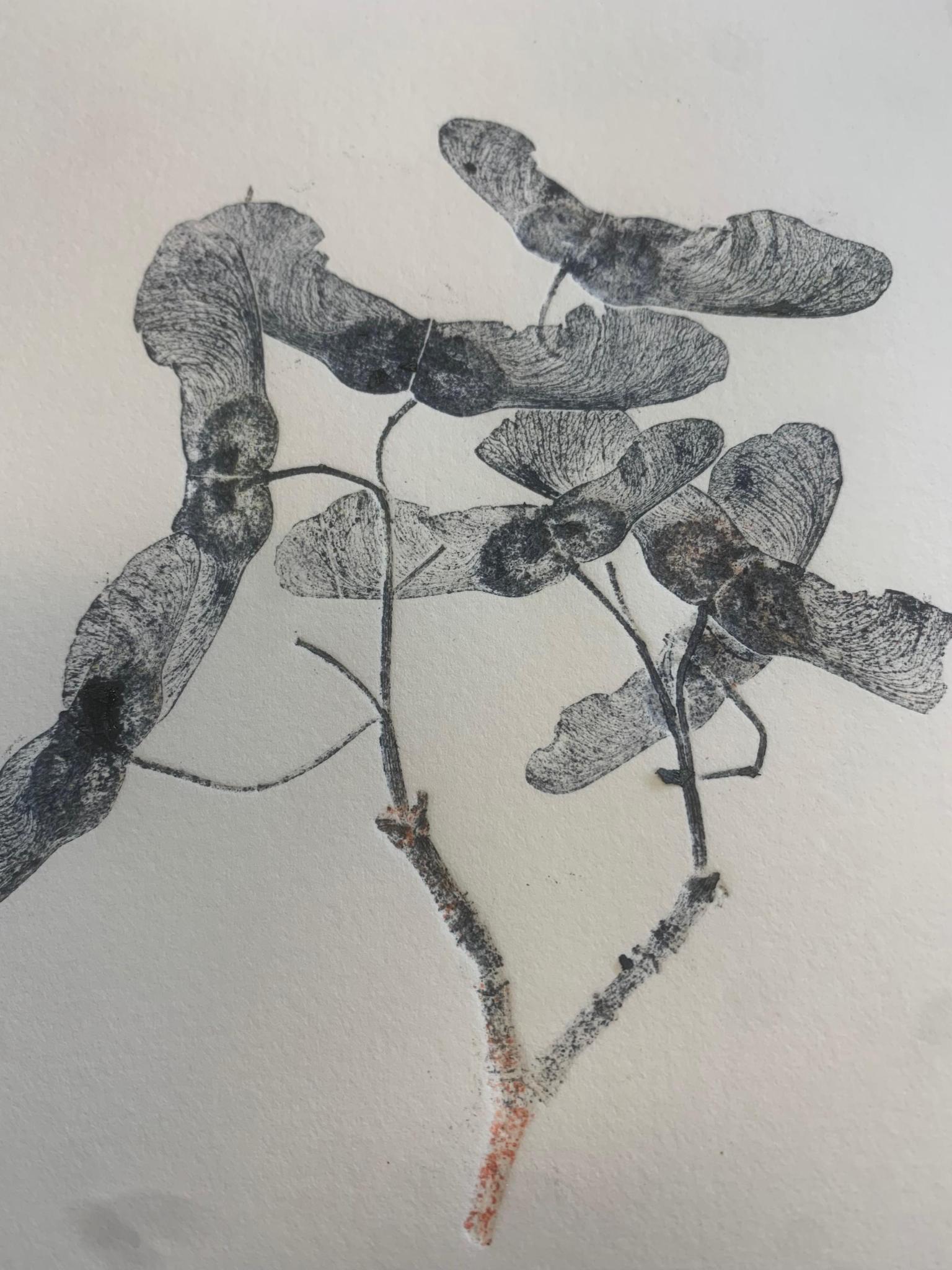 Botanisch Printen — foto 3