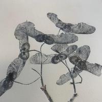 Botanisch Printen