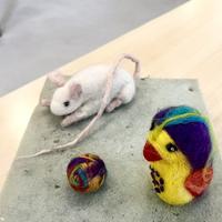 Workshop Naaldvilten