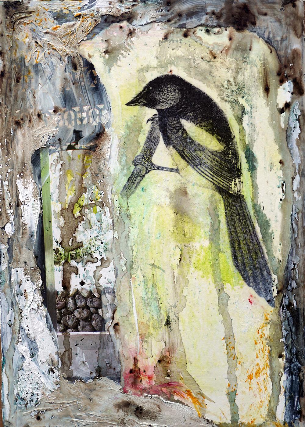 Workshop collage — foto 6