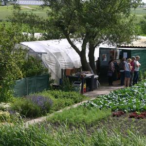 Cursus biologisch moestuinieren voor beginners