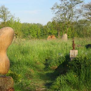 Beeldhouwen stilte in beeld