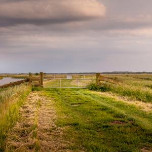 Fotocursus gevorderden hoogeveen