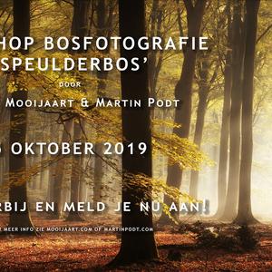 Workshop bosfotografie 'speulderbos'