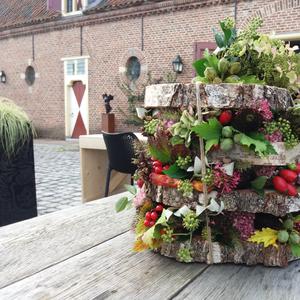 Herfstcreatie met boomschijven in ammerzoden, gelderland