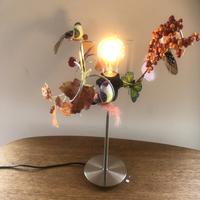 Creatief in licht & beeld delft