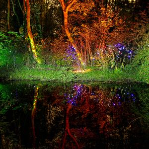 Schilderen met licht - fotografie anders belicht