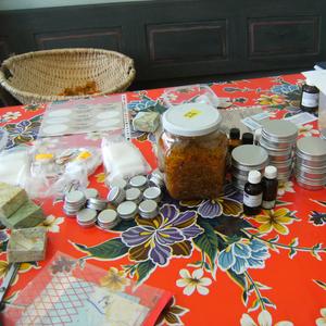 Workshop kruidenhuis apotheek maken