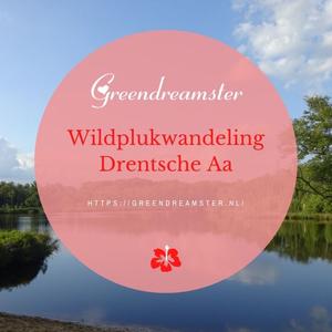 Wildplukwandeling