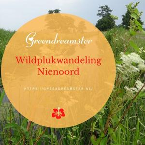 Wildplukwandeling