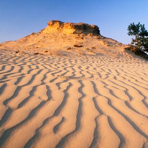 Workshop natuurfotografie kootwijkerzand